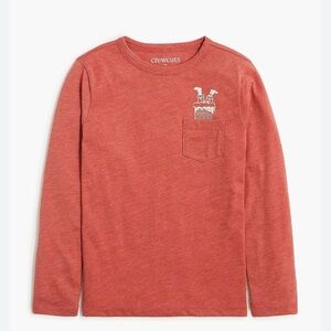 NWT J.Crew Kids Crewcuts Boys Santa Graphic Tee Size XL